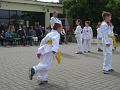 Taekwondo 7
